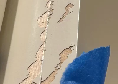 House Painting Service