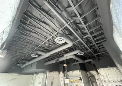 Professional Painters